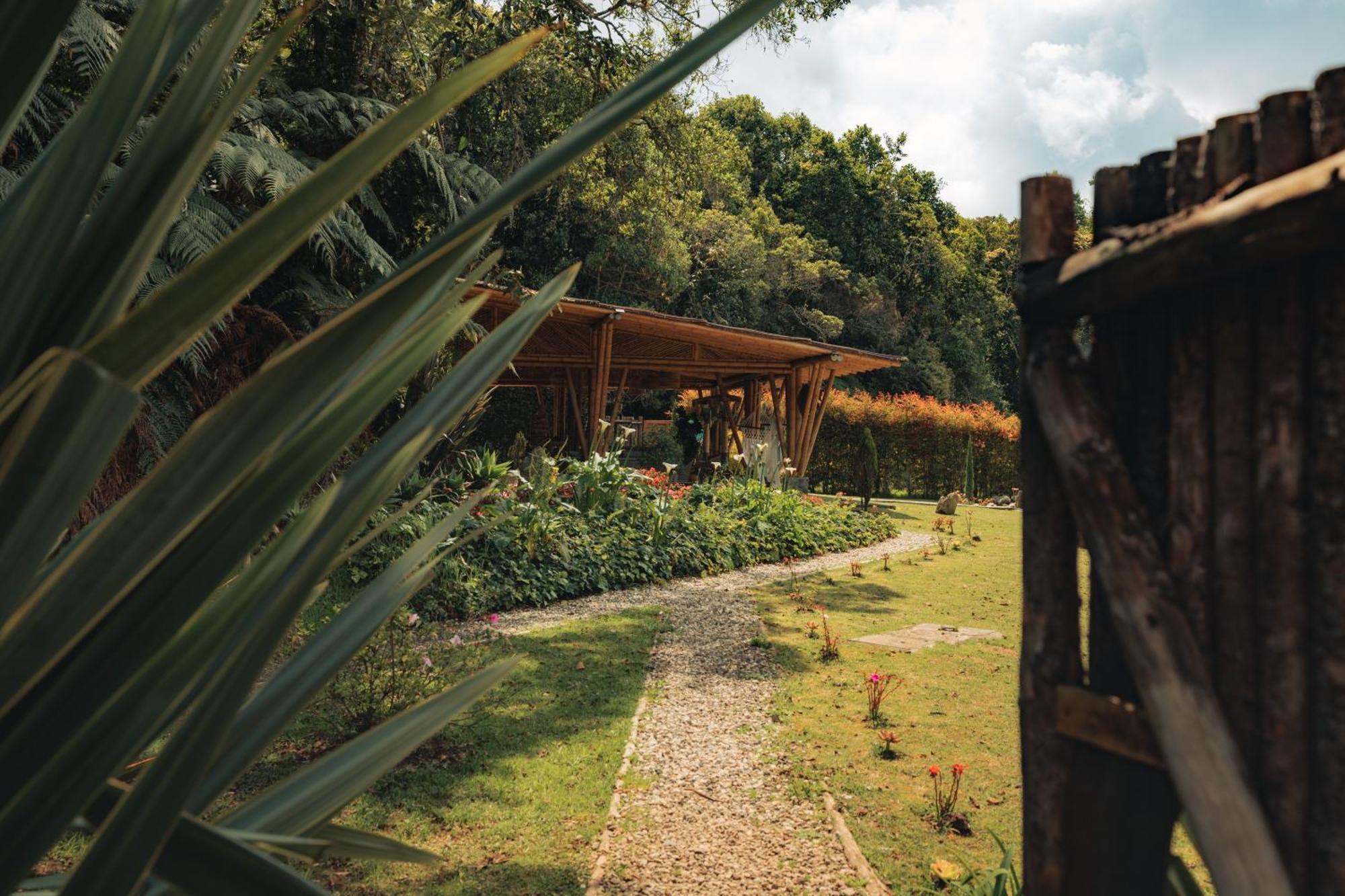Отель Bubblesky Glamping 15 Min From Medellin Рионегро Экстерьер фото