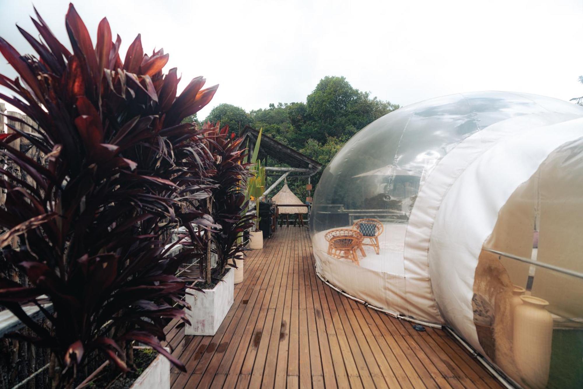 Отель Bubblesky Glamping 15 Min From Medellin Рионегро Экстерьер фото